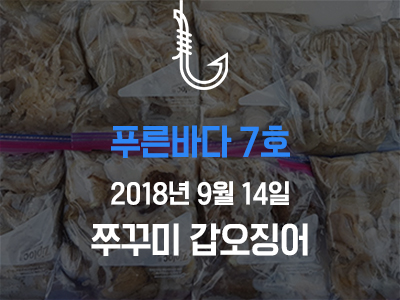 [푸른바다7호] 쭈꾸미 갑오징어