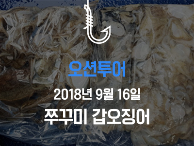 [오션투어] 쭈꾸미 갑오징어