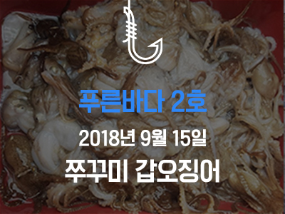 [푸른바다2호] 쭈꾸미 갑오징어