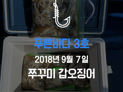 [푸른바다3호] 쭈꾸미 갑오징어