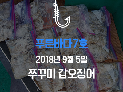 [푸른바다7호] 쭈꾸미 갑오징어!