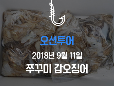 [오션투어] 쭈꾸미 갑오징어
