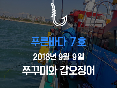 [푸른바다7호] 쭈꾸미와 갑오징어