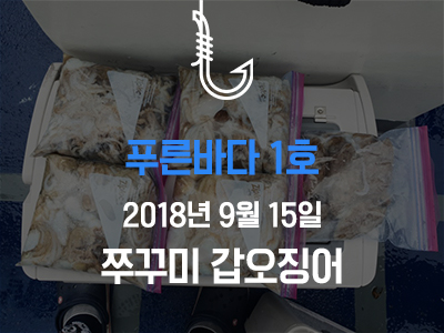 [푸른바다1호] 쭈꾸미 갑오징어