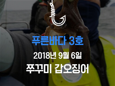 [푸른바다3호] 쭈꾸미 갑오징어~