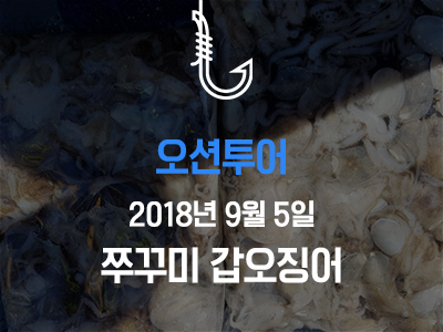 [오션투어] 쭈꾸미 갑오징어!