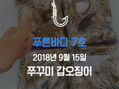 [푸른바다7호] 쭈꾸미 갑오징어