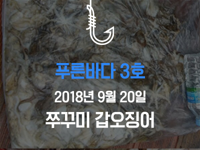 [푸른바다3호] 쭈꾸미 갑오징어