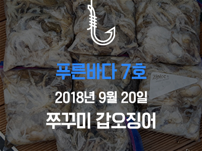 [푸른바다7호] 쭈꾸미 갑오징어