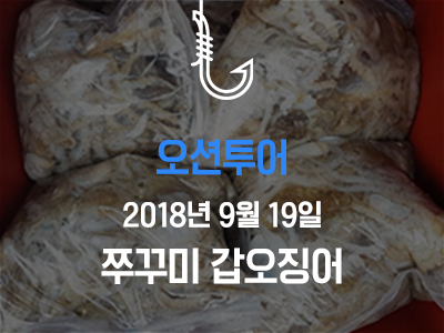 [오션투어] 쭈꾸미 갑오징어