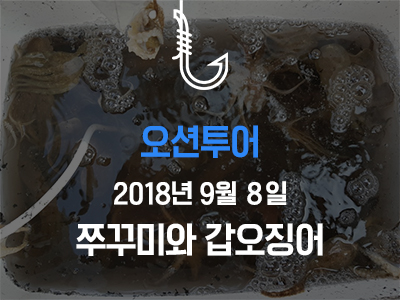 [오션투어] 쭈꾸미와 갑오징어