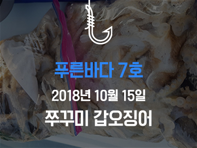 [푸른바다7호] 쭈꾸미 갑오징어