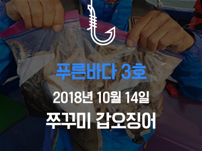 [푸른바다3호] 쭈꾸미 갑오징어