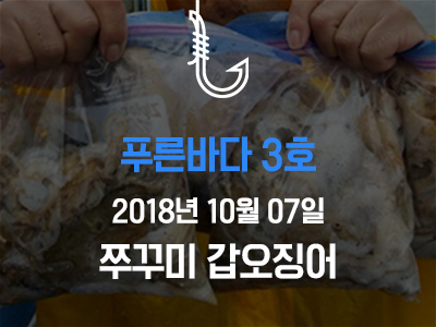 [푸른바다3호] 쭈꾸미 갑오징어