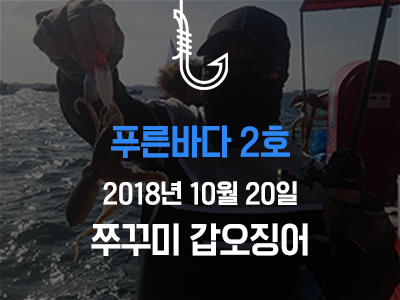 [푸른바다2호] 쭈꾸미 갑오징어