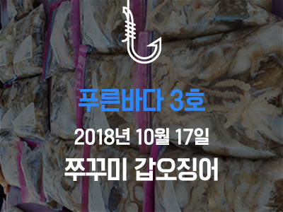 [푸른바다3호] 쭈꾸미 갑오징어