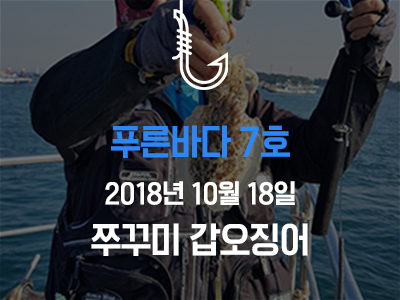 [푸른바다7호] 쭈꾸미 갑오징어