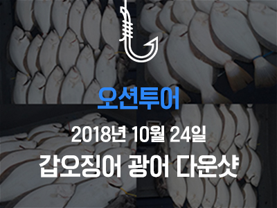 [오션투어] 쭈꾸미 갑오징어