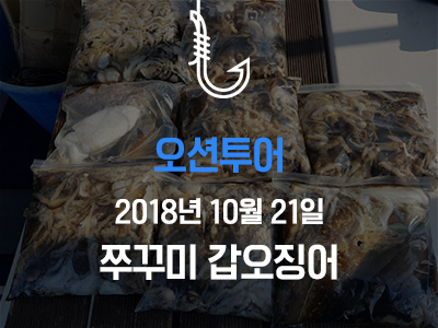 [오션투어] 쭈꾸미 갑오징어