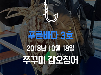 [푸른바다3호] 쭈꾸미 갑오징어