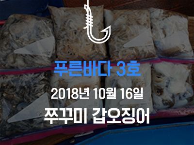 [푸른바다3호] 쭈꾸미 갑오징어