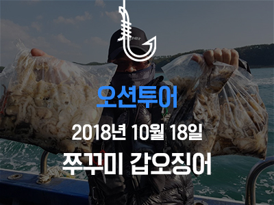 [오션투어] 쭈꾸미 갑오징어