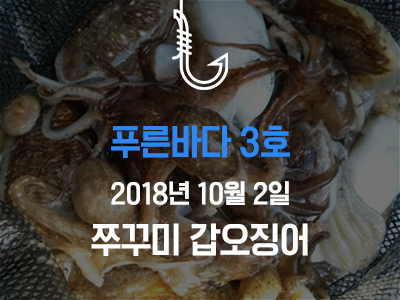 [푸른바다3호] 쭈꾸미 갑오징어