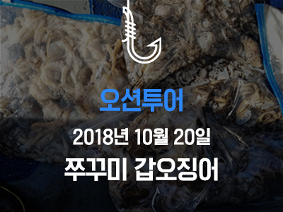 [오션투어] 쭈꾸미 갑오징어