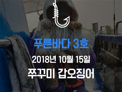 [푸른바다3호] 쭈꾸미 갑오징어