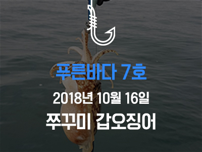 [푸른바다7호] 쭈꾸미 갑오징어