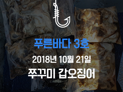 [푸른바다3호] 쭈꾸미 갑오징어