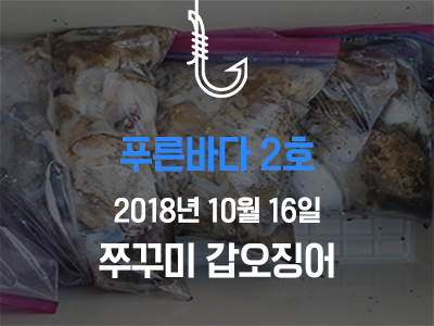 [푸른바다2호] 쭈꾸미 갑오징어