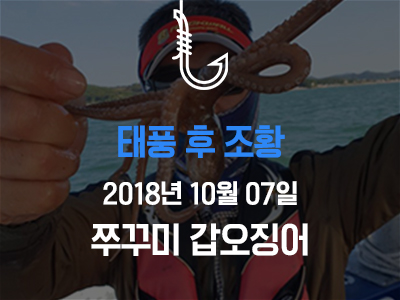 쭈꾸미 갑오징어