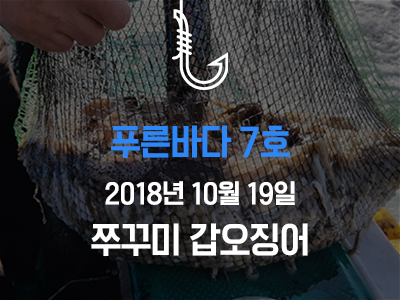 [푸른바다7호] 쭈꾸미 갑오징어