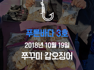 [푸른바다3호] 쭈꾸미 갑오징어