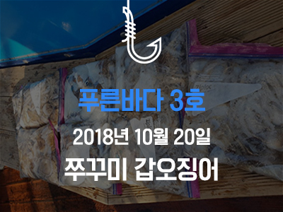 [푸른바다3호] 쭈꾸미 갑오징어