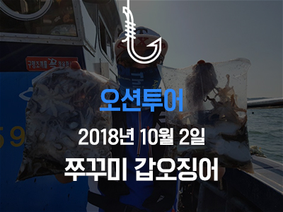 [오션투어] 쭈꾸미 갑오징어