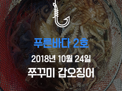 [푸른바다2호] 쭈꾸미 갑오징어