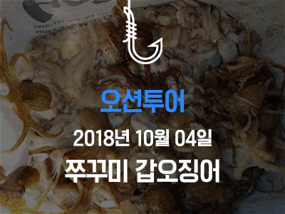 [오션투어] 쭈꾸미 갑오징어