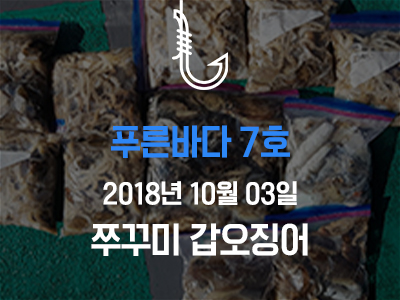 [푸른바다7호] 쭈꾸미 갑오징어