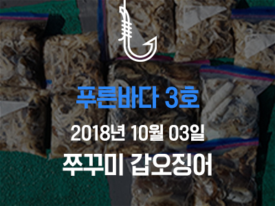 [푸른바다3호] 쭈꾸미 갑오징어