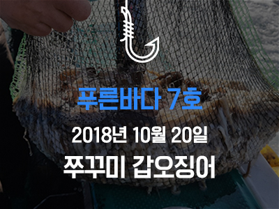 [푸른바다7호] 쭈꾸미 갑오징어