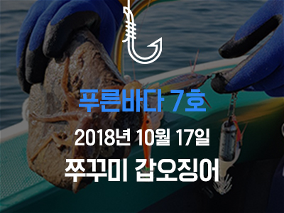 [푸른바다7호] 쭈꾸미 갑오징어
