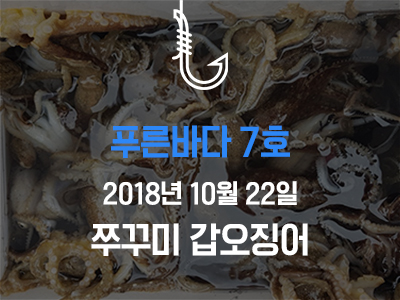 [푸른바다7호] 쭈꾸미 갑오징어