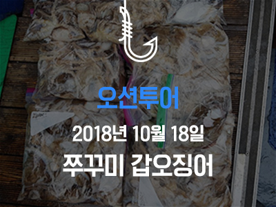 [오션투어] 쭈꾸미 갑오징어