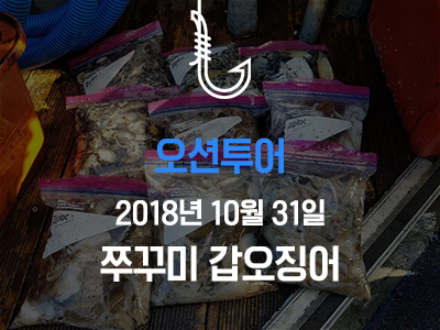 [오션투어] 쭈꾸미 갑오징어