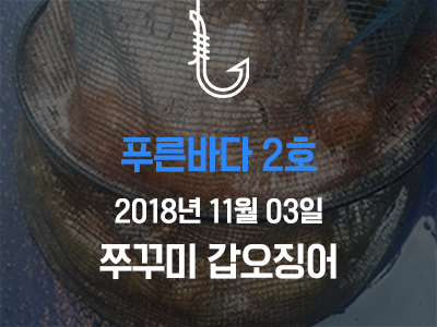 [푸른바다2호] 쭈꾸미 갑오징어