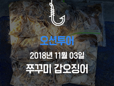 [오션투어] 쭈꾸미 갑오징어