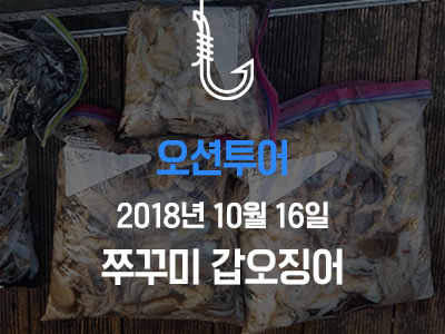 [오션투어] 쭈꾸미 갑오징어