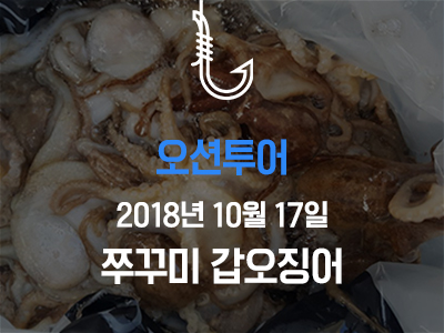 [오션투어] 쭈꾸미 갑오징어